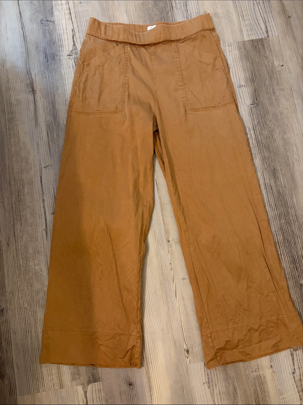 Joie Wide-Leg Pants in Rust Brown